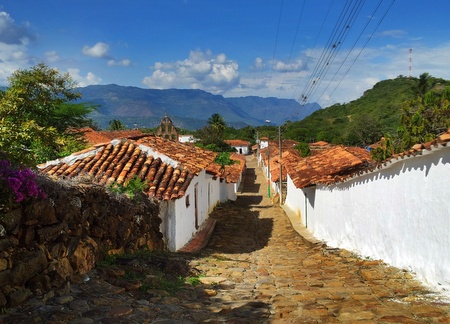 Guane