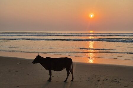 Solnedgang på Gokarna Beach