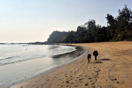 Om Beach